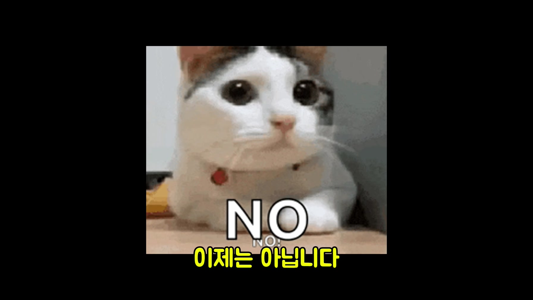 AI 기타 영상으로 단 몇 일 만에 800만 조회수를 달성한 방법 (핵심 꿀팁 공개) 2번째 장면