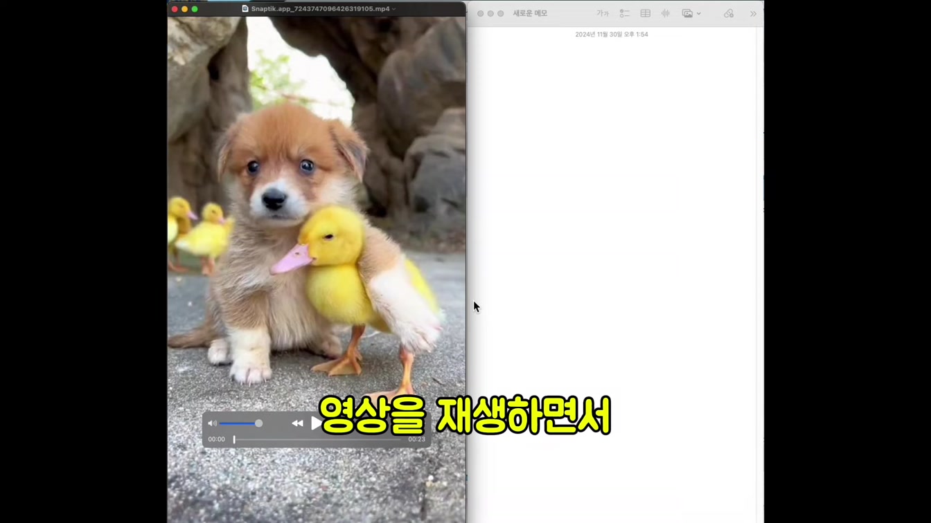 복붙으로 해외에서 돈을 쓸어담고 있는 채널을 따라 만들어봤습니다 (너무 쉬움) 3번째 장면