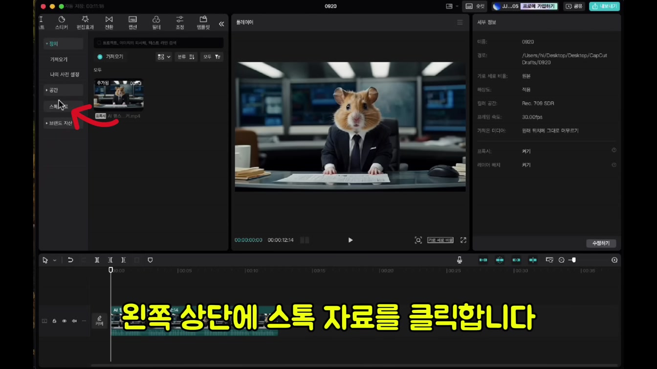 AI를 활용한 유튜브 자동화 종합 과정 (2025년 초보자용 완벽 가이드) 13번째 장면