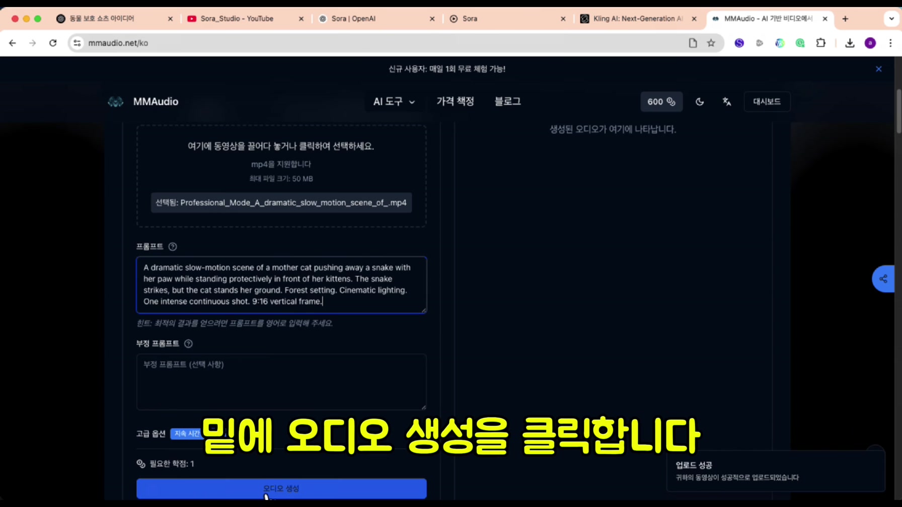 동물 모성애 쇼츠 1개로 단 7일 만에 8,700만 조회수를 돌파한 방법 12번째 장면