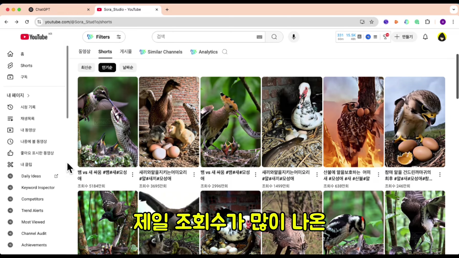 동물 모성애 쇼츠 1개로 단 7일 만에 8,700만 조회수를 돌파한 방법 4번째 장면