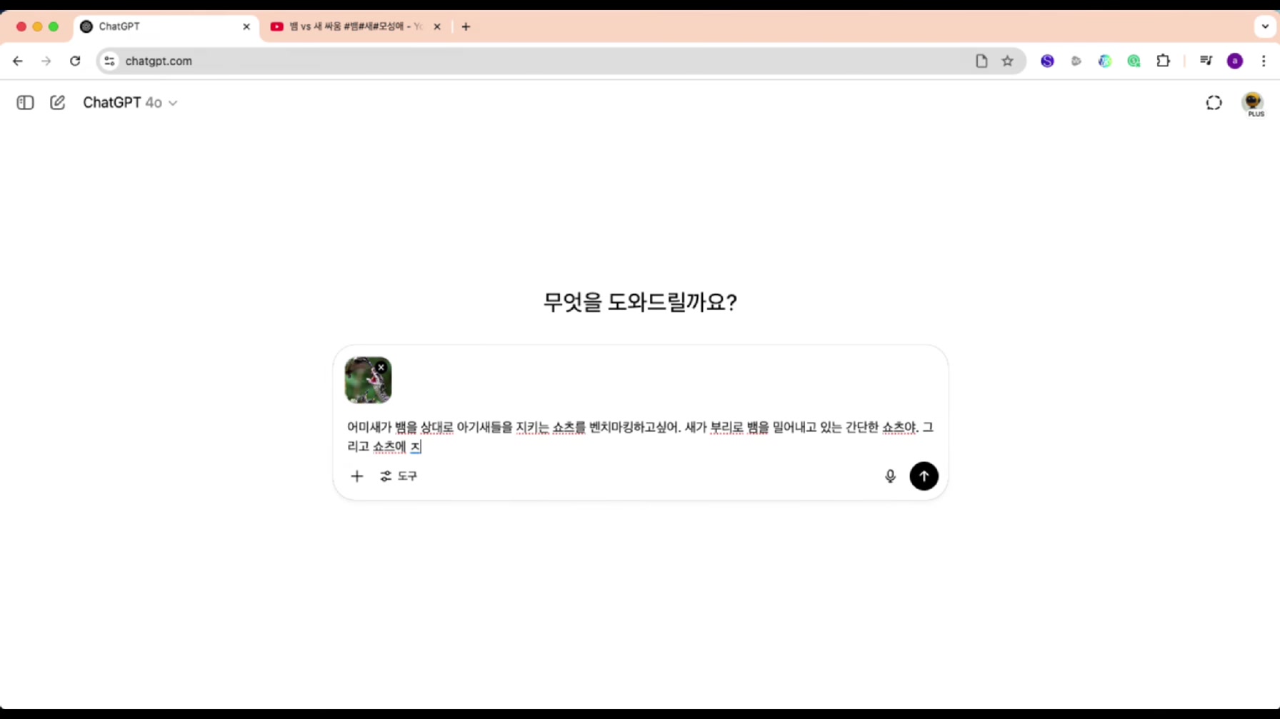 동물 모성애 쇼츠 1개로 단 7일 만에 8,700만 조회수를 돌파한 방법 5번째 장면