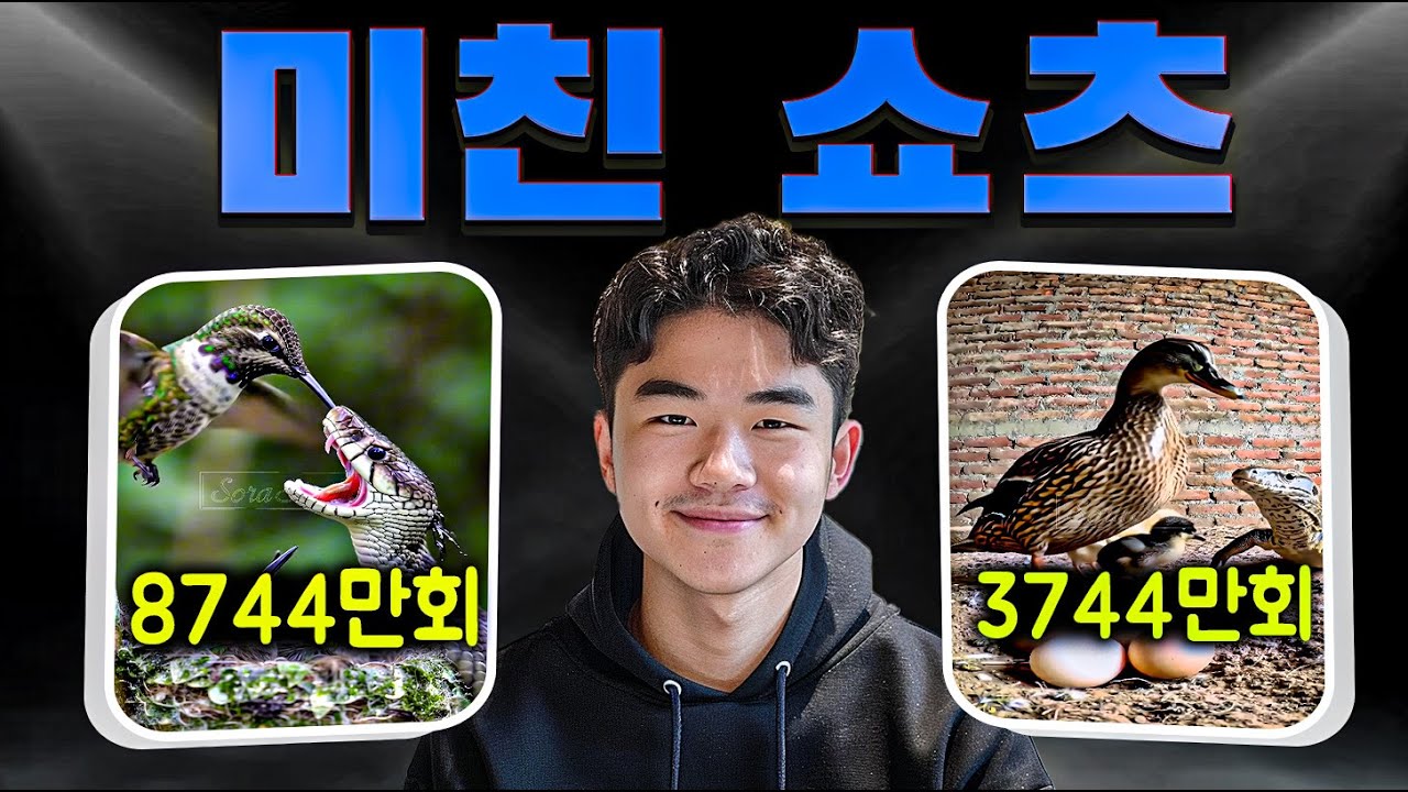 유튜브 썸네일 (외부 재생 불가)