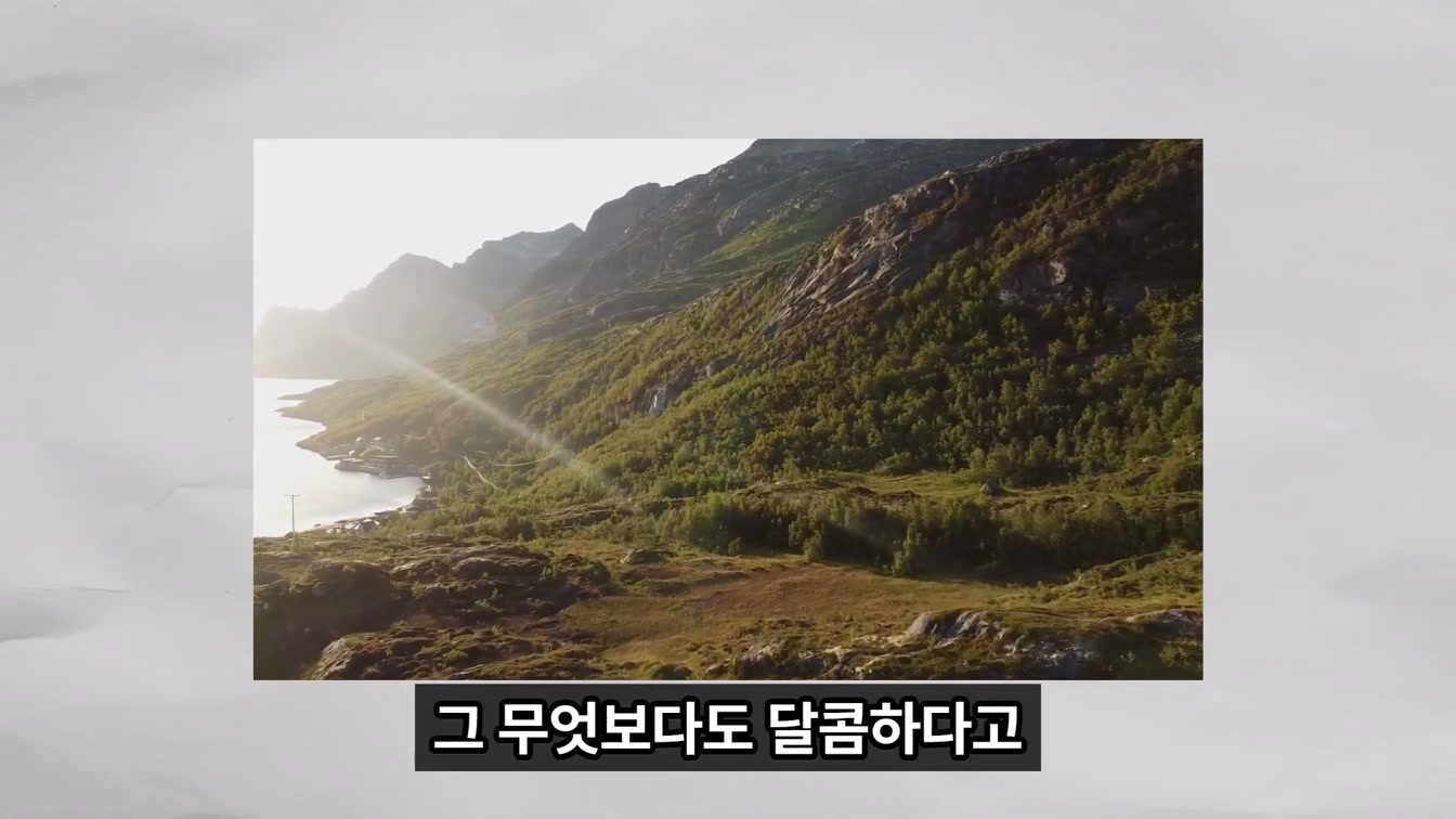 2024년에 반드시 유튜브를 시작해야 하는 이유 12번째 장면
