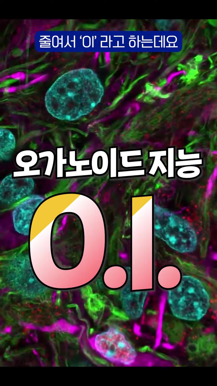 🎮혼자서 게임하는 접시 속 뇌세포?!🧠 #shorts 11번째 장면