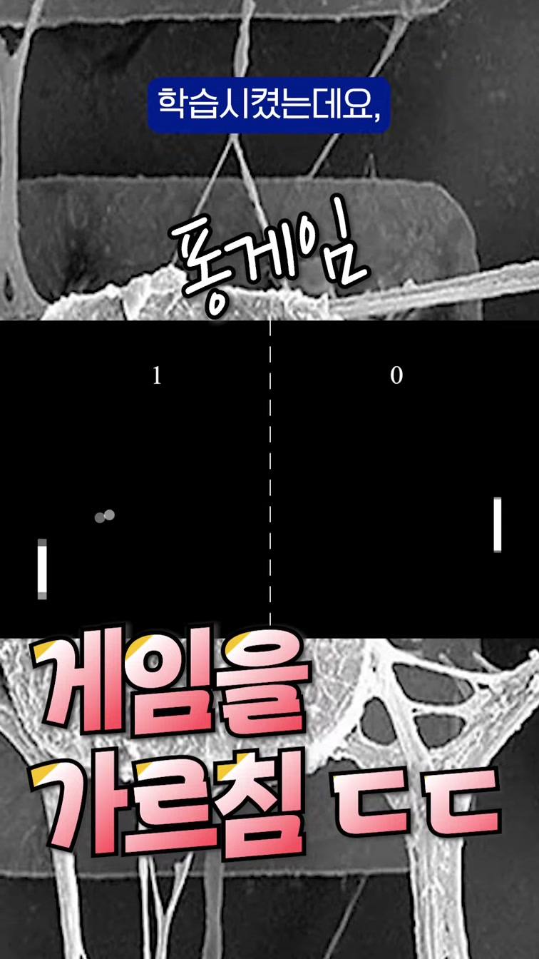 🎮혼자서 게임하는 접시 속 뇌세포?!🧠 #shorts 4번째 장면