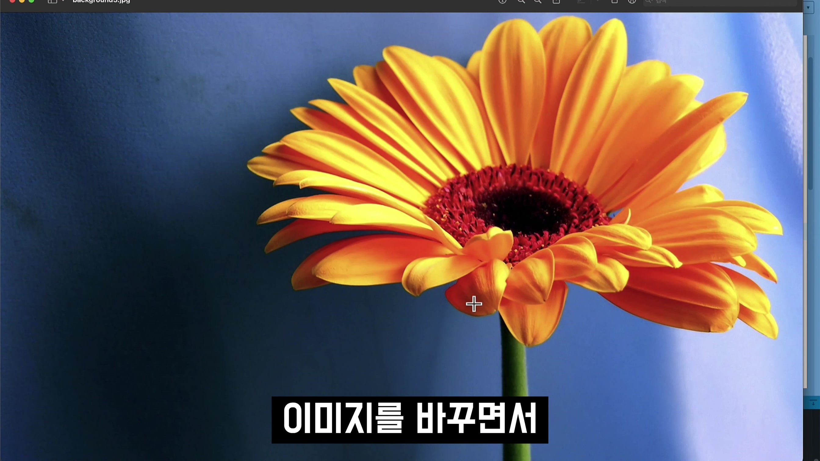 마이크 목소리에 반응하는 프로그램 개발! AI Coding OpenAI ChatGPT-4 오후다섯씨 21번째 장면
