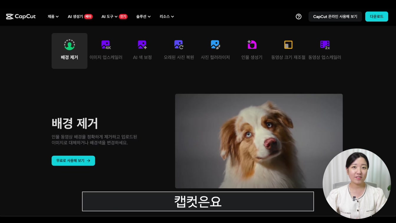 무료 영상 편집 툴 캡컷 PC 버전 사용법 | 왕초보를 위한 캡컷PC 편집 기초 가이드 1번째 장면