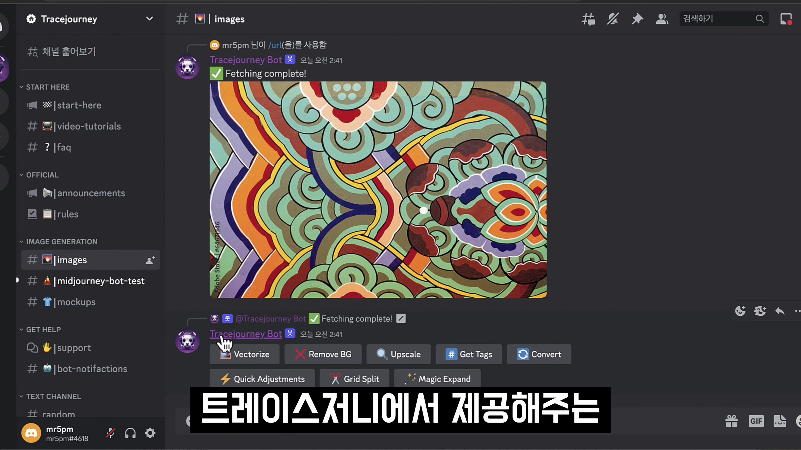 AI 이미지 편집 필수 서비스! 무료 벡터라이즈 vectorize 및 목업 mockup 기능 소개 및 사용법! 오후다섯씨 10번째 장면