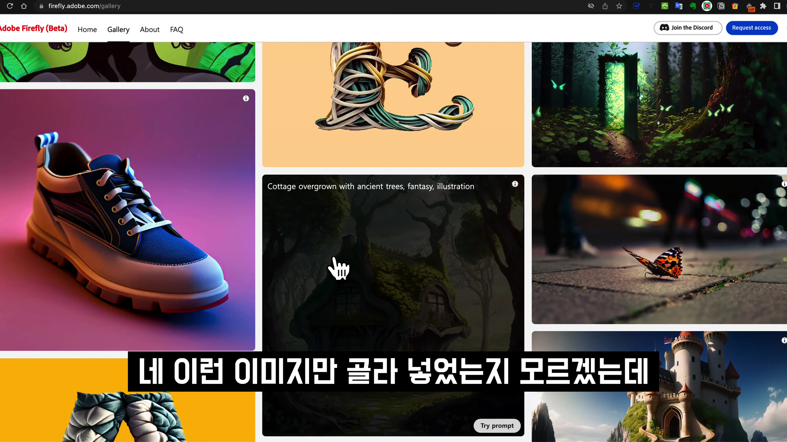 Adobe 인공지능 서비스 전격 공개! Adobe 센세이 파이어플라이! AI 포토샵! AI 일러스트! AI 인디자인!  Adobe Sensei Firefly! 오후다섯씨 16번째 장면