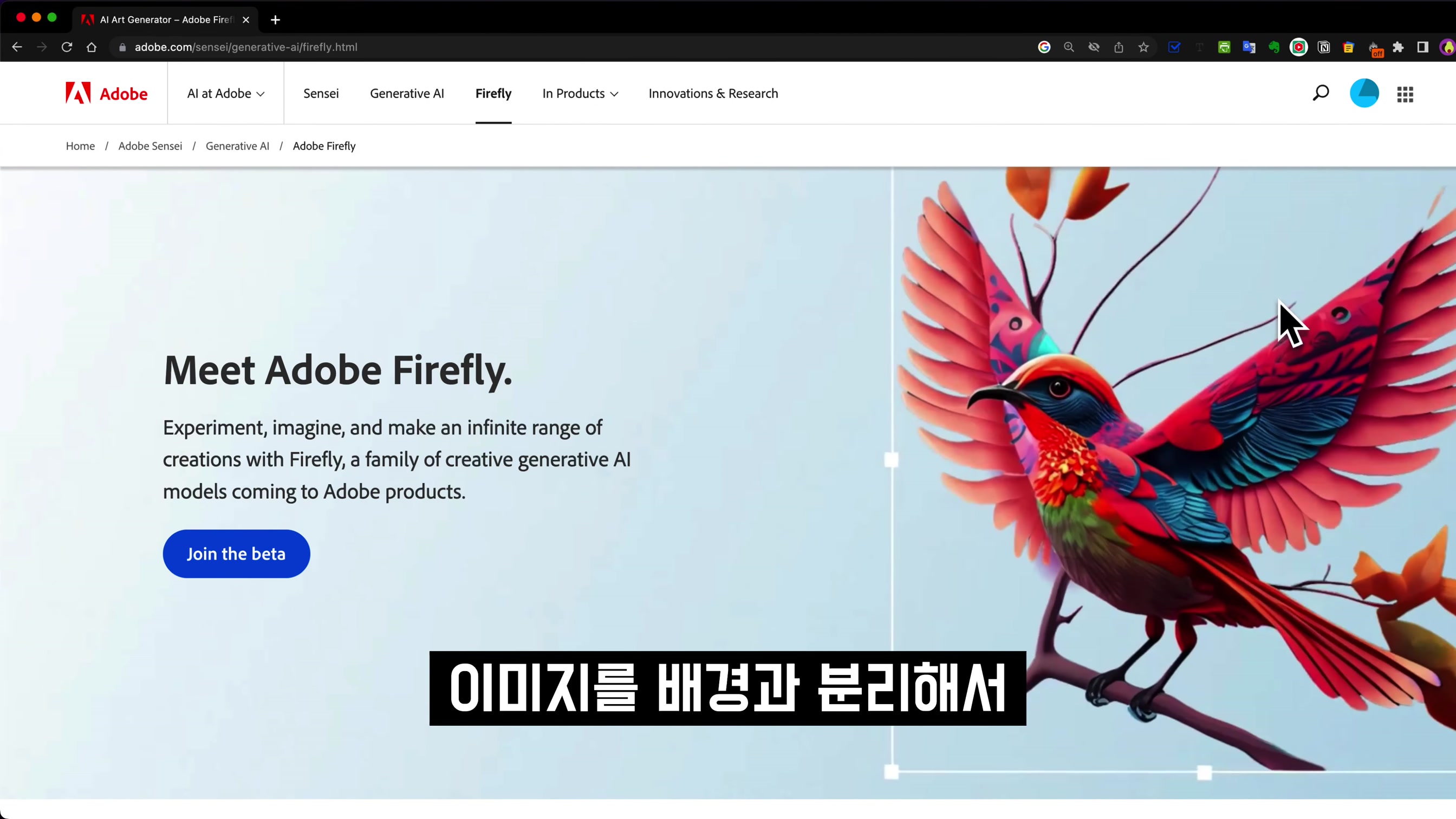 Adobe 인공지능 서비스 전격 공개! Adobe 센세이 파이어플라이! AI 포토샵! AI 일러스트! AI 인디자인!  Adobe Sensei Firefly! 오후다섯씨 3번째 장면
