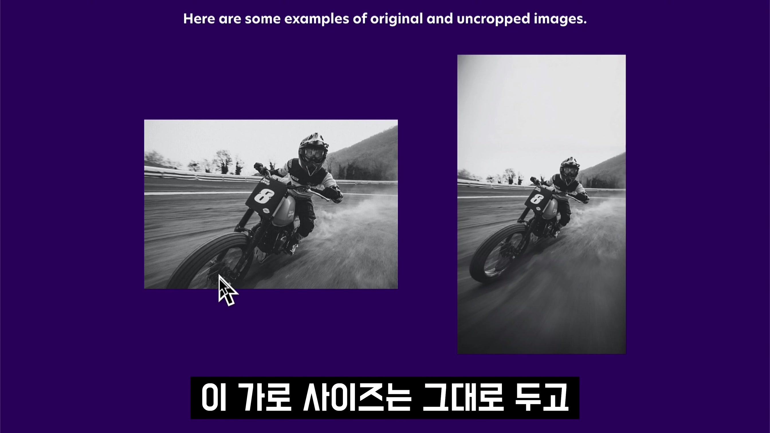 실용성 1000%! 정말 필요했던 이미지 기능! AI로 돈버는 이미지 제작! 인공지능 이미지 확장 서비스! Uncrop! Flair! 오후다섯씨 3번째 장면