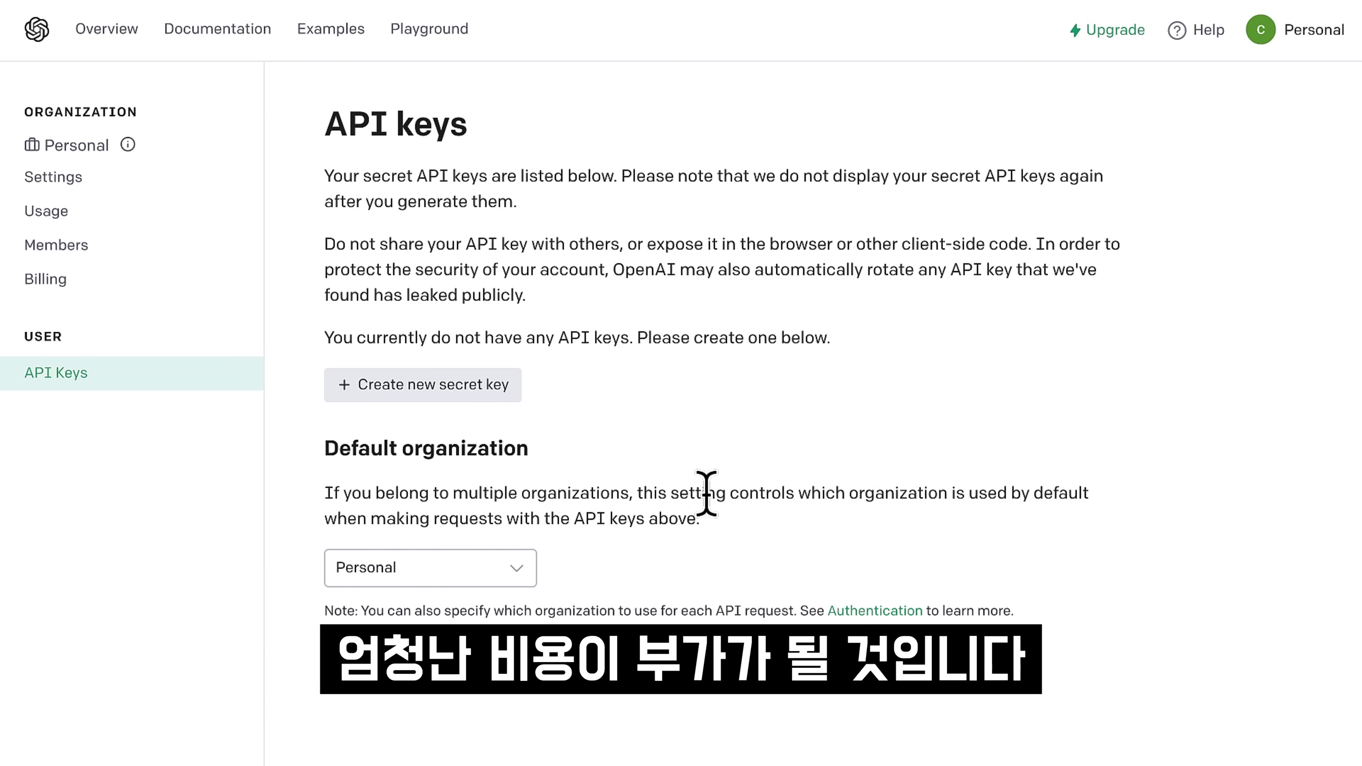 OpenAI API 쓸줄 알아야합니다! AI 텍스트 이미지 생성! 누구나 코딩하고 인공지능 만드는 시대! Coding OpenAI ChatGPT (GPT-4) 오후다섯씨 10번째 장면