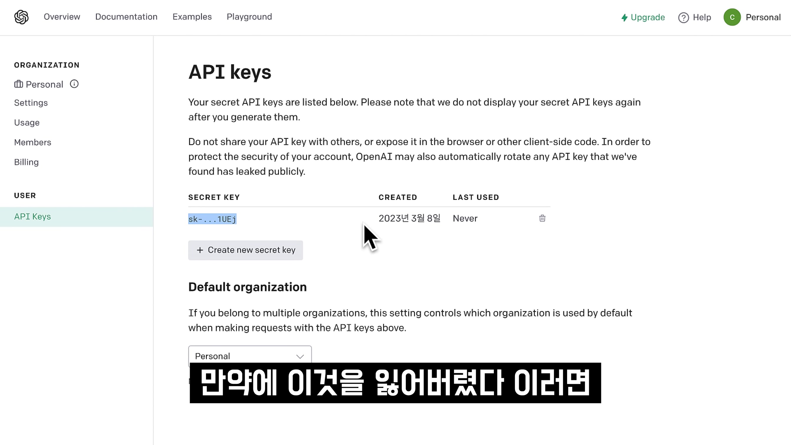 OpenAI API 쓸줄 알아야합니다! AI 텍스트 이미지 생성! 누구나 코딩하고 인공지능 만드는 시대! Coding OpenAI ChatGPT (GPT-4) 오후다섯씨 11번째 장면