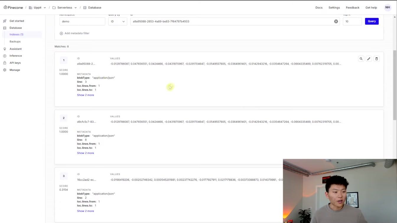 Vector Database Optimization with n8n: Metadata, Text Splitting, & Embeddings 6번째 장면