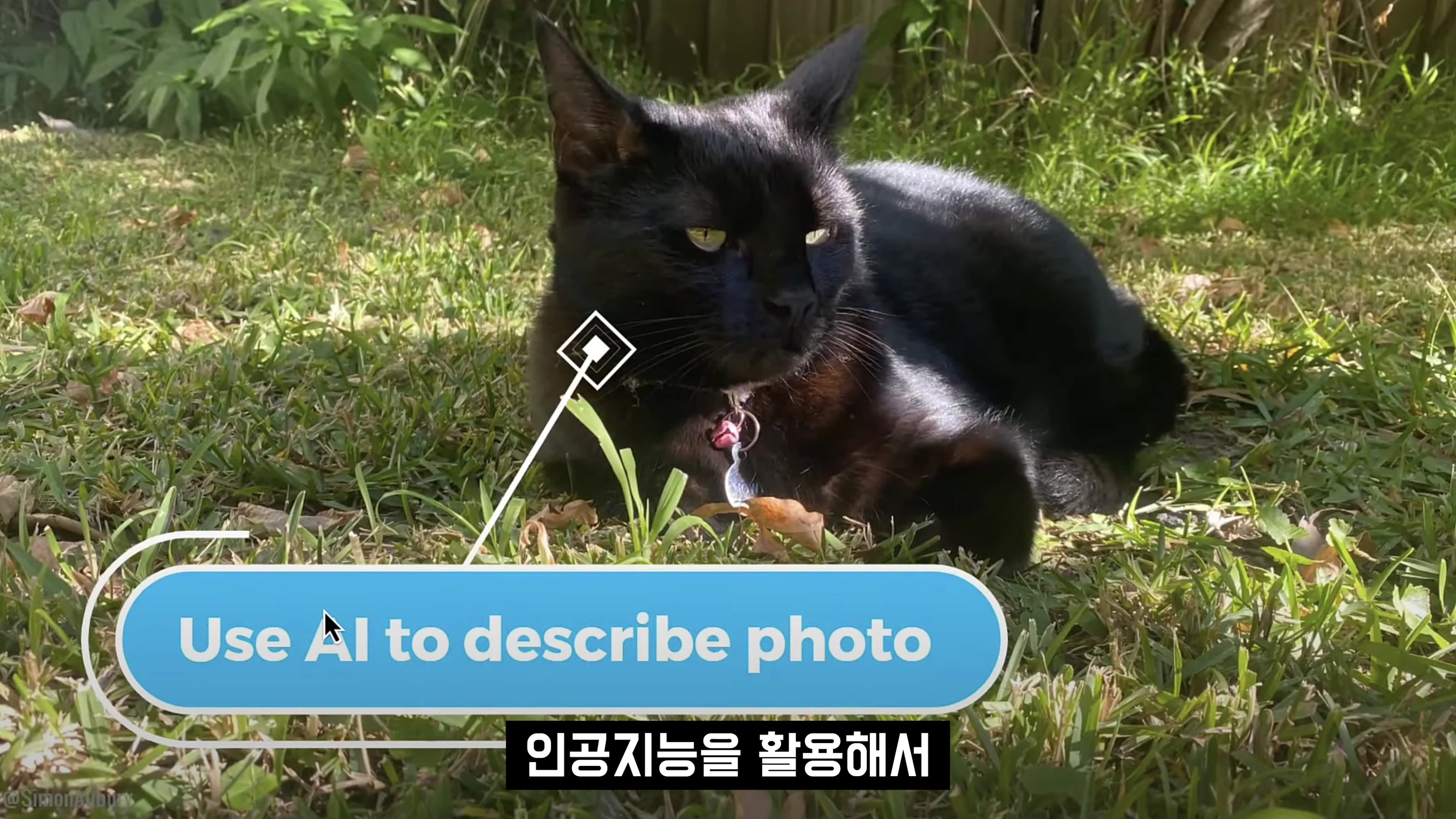 인공지능 시대 모두가 갖고 싶은 카메라! GenPiCam! 정말 감동입니다! Generative AI Camera! 오후다섯씨! 4번째 장면