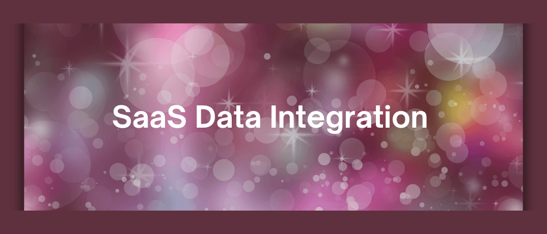 SaaS Data Integration 