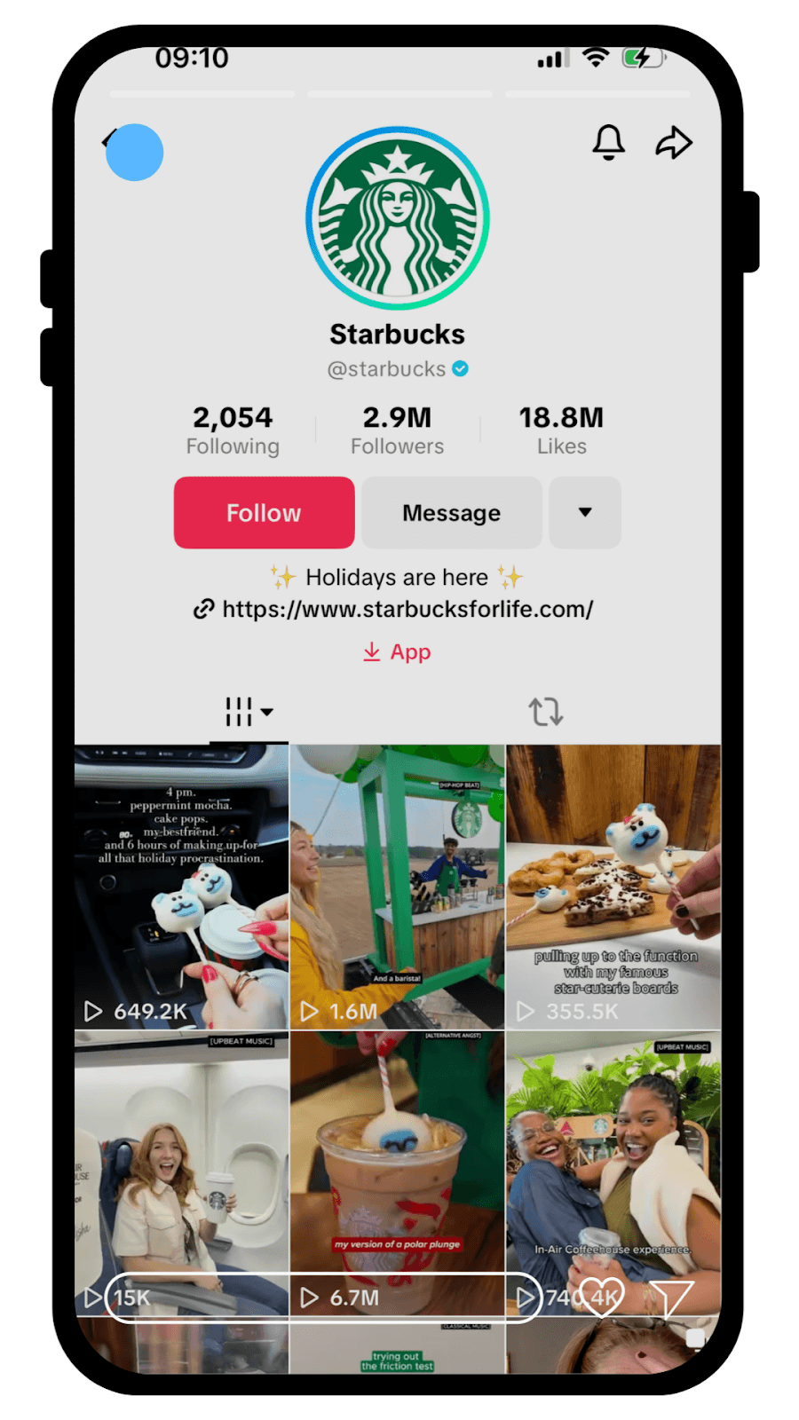 TikTok Profile