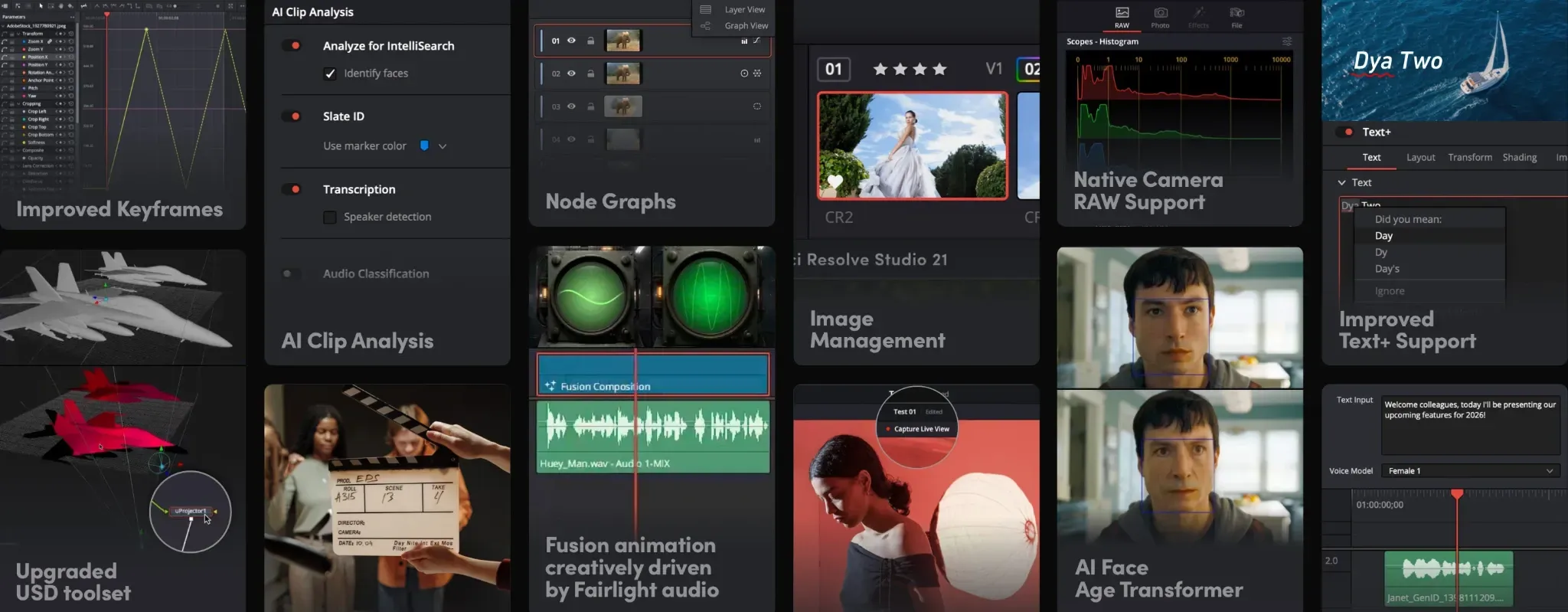 DaVinci Resolve