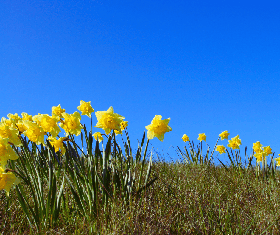 Why South Eugene Properties Require Specialized Moisture Barriers