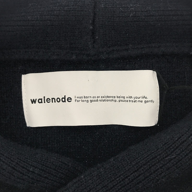 walenode / ウェルノード × wagamama ワガママ別注 Alashan cashmere YN Line sweater カシミヤニット