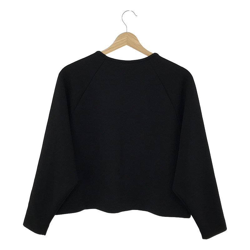 theory / セオリー Double Jersey LS Raglan Top プルオーバートップス