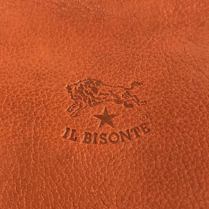 バッグ【美品】  IL BISONTE / イルビゾンテ | マルチストライプ レザー ショルダーバッグ 保存袋付き | ‐ | マルチカラー | レディース