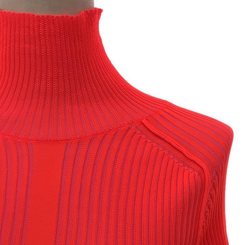 Acne Studios / アクネストゥディオズ ネオンカラー ハイネック リブ トップス