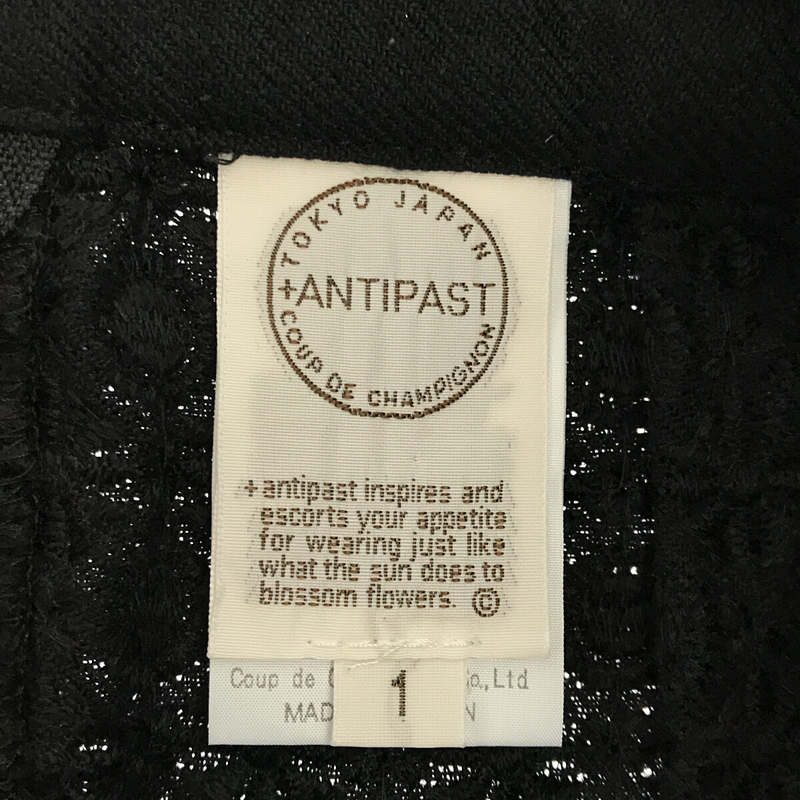 ANTIPAST / アンティパスト シルクウール 総刺繍 タック Aラインスカート