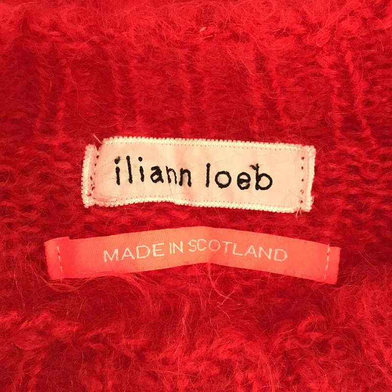 Iliann Loeb / イリアンローブ ハイネック モヘヤ ウール ニット プルオーバー