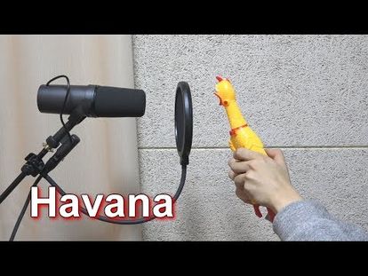 Camila Cabello Havana Chicken Cover 0000 113 Mon Sep - 