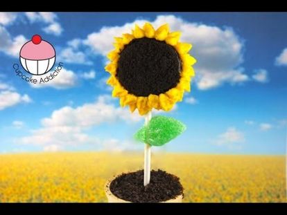 No Bake Sunflower Cookie Pops Plants Vs Zombies Cakepops A Cupcake Addiction How To Tutorial 00 00 6 10 Wed Jun 13 2018 11 15 46 Am