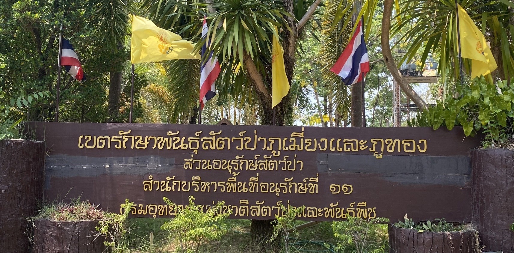 พิษณุโลก ประกาศปิดป่า 14 วัน ห้ามบุคคลเข้าป่าโดยเด็ดขาด เขตรักษาพันธุ์สัตว์ป่าภูเมี่ยงและภูทอง