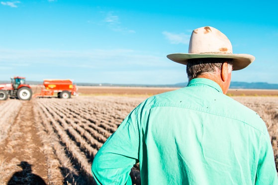 Farmer in the field