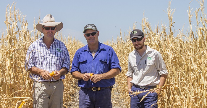 Beating multi-resistant weeds in the Northern region splash