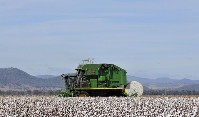 CSD: Cotton defoliation awareness splash