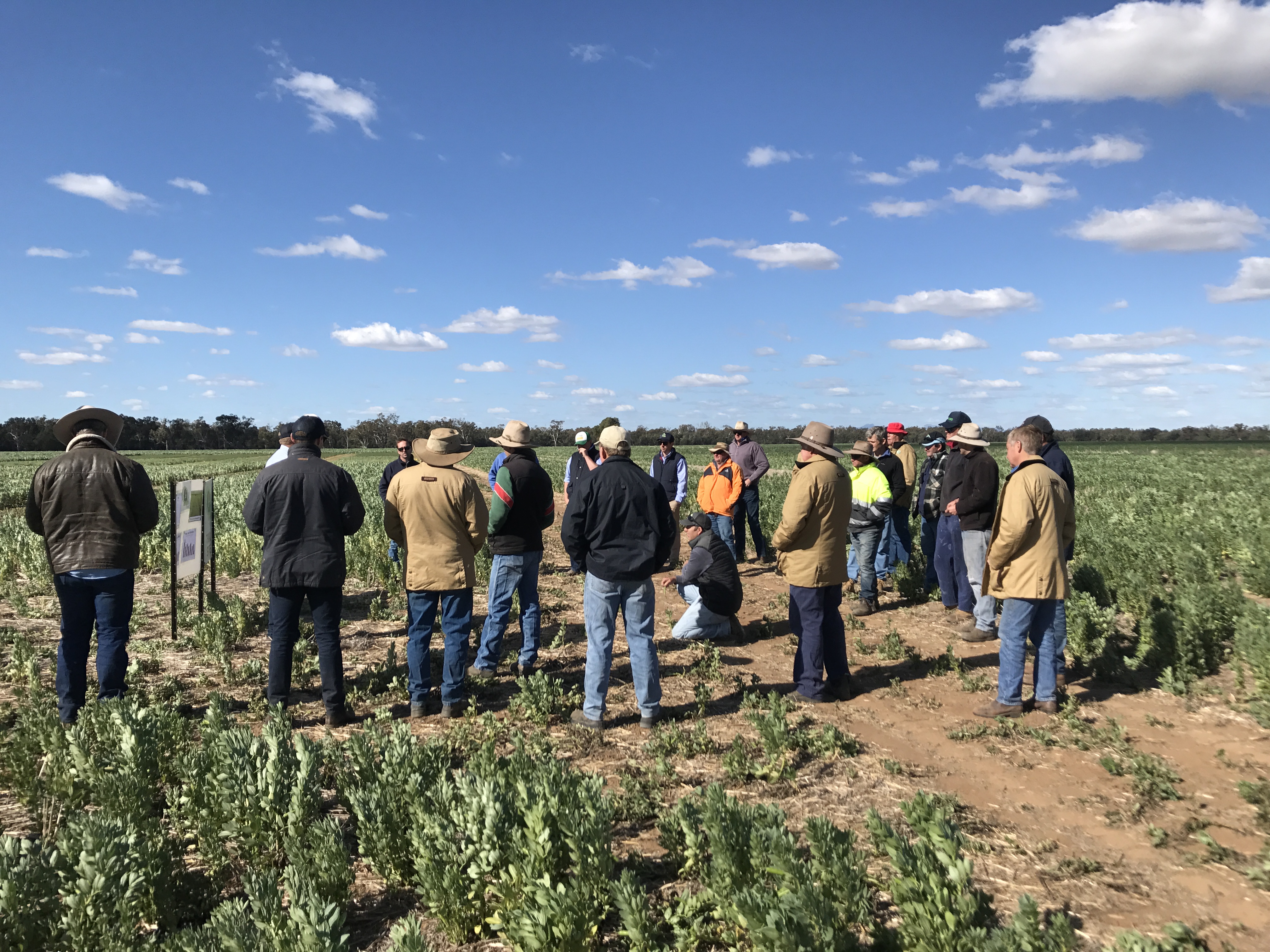 Armatree Winter Crop Field Day 2017 splash