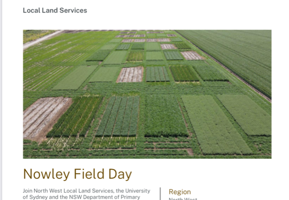 Nowley Field day image