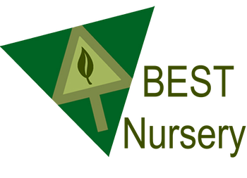 BEST Nursery