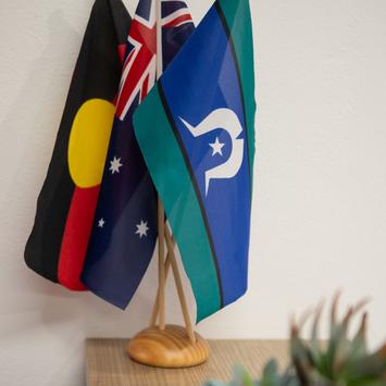 Aboriginal and Torres Strait Islander Health Checks  icon