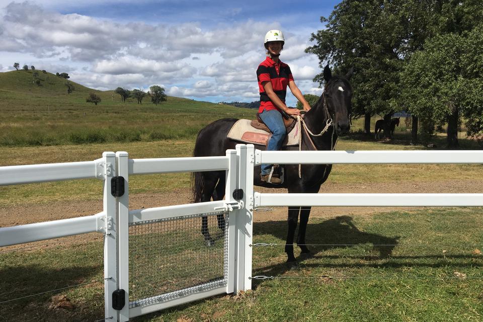 Aussie Fencing from Bluedog Fences: Your Guide to Lasting Solutions