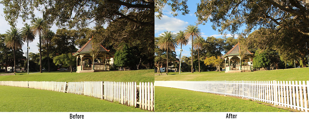 cricket picket fence before and after Bluedog fencing