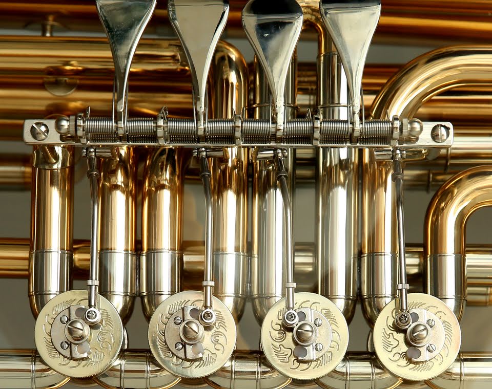 Brass instruments in the orchestra--the horn