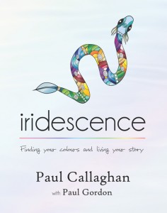 Iridescence Book cover