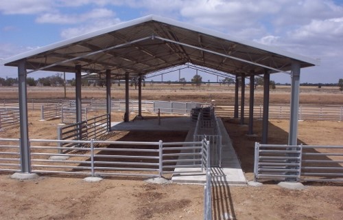 Roofed Sheep Yard