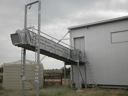 Adjustable Loading Ramp