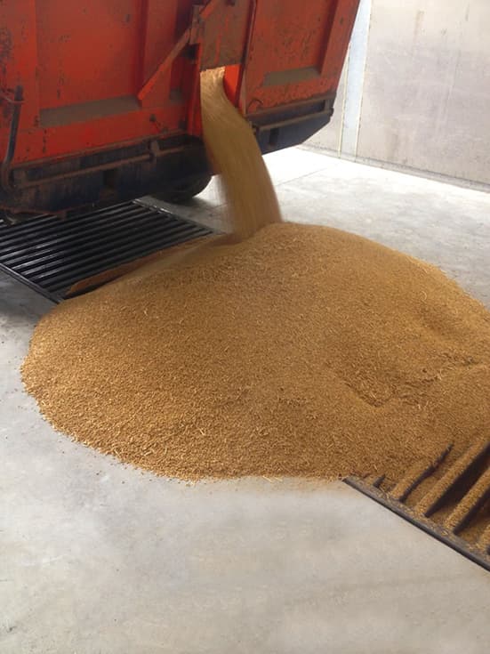 Truck Unloading Into Ground Intake