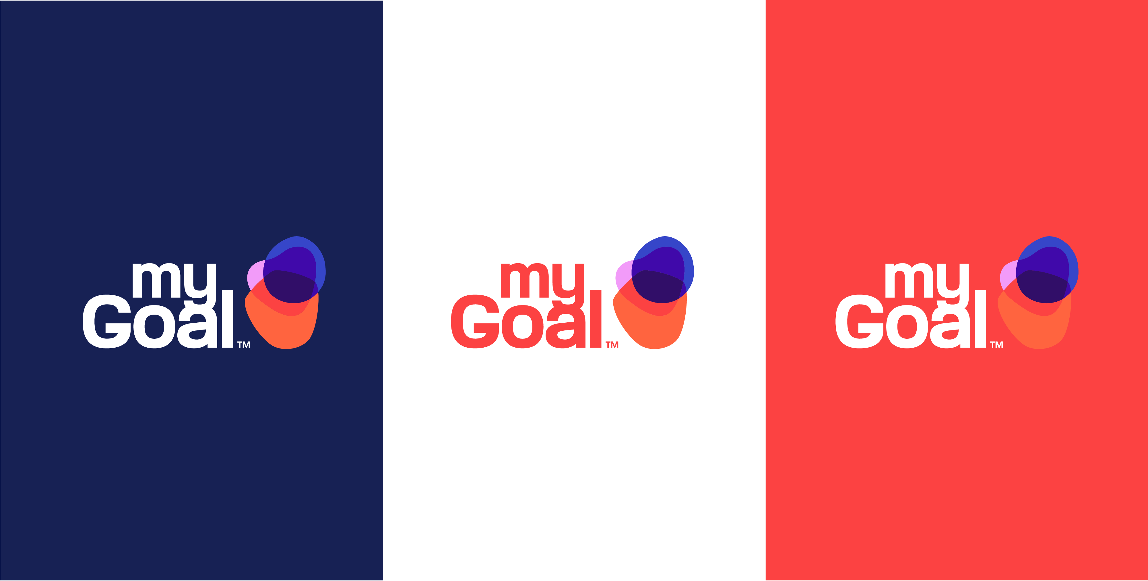 MyGoal Working CS File_Section_2.png