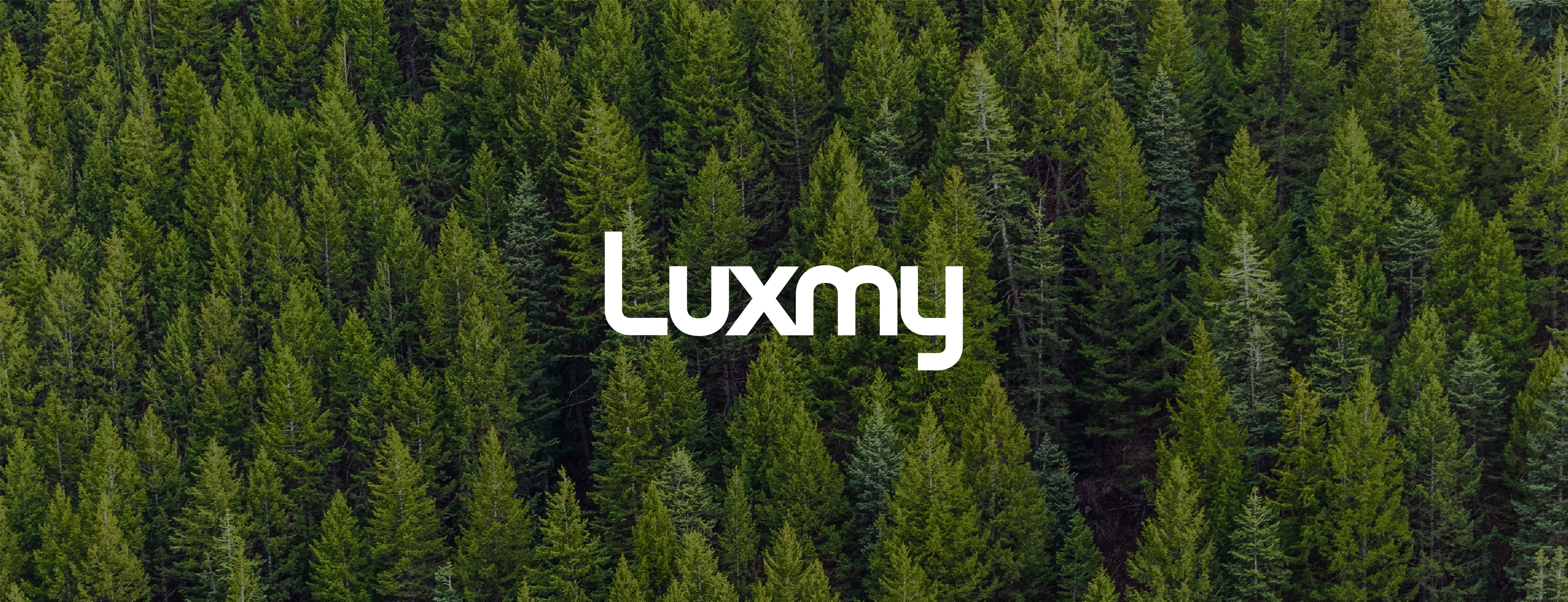 Luxmy graphic