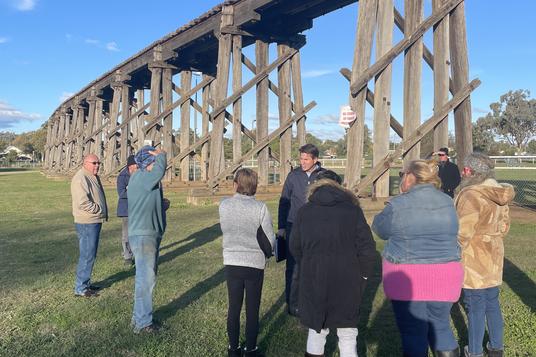 CAMPAIGN TO SAVE MANILLA VIADUCT RAMPS UP icon